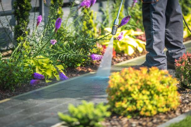 Best Dumpster Area Cleaning  in Gonzales, LA