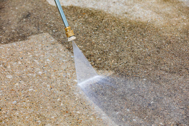 Best Driveway Pressure Washing  in Gonzales, LA