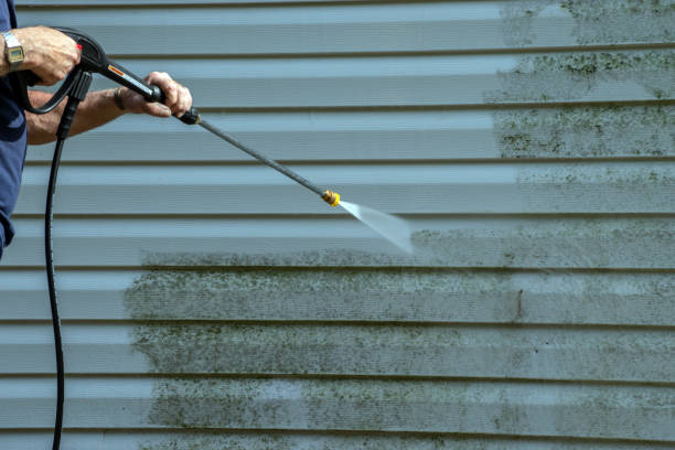 Best Sidewalk and Walkway Cleaning  in Gonzales, LA