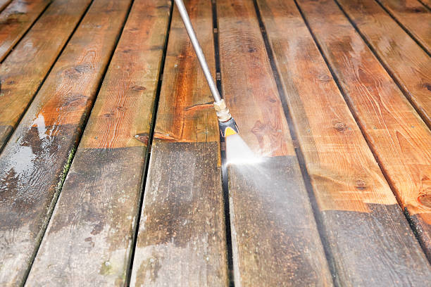Best Animal Enclosure Cleaning  in Gonzales, LA